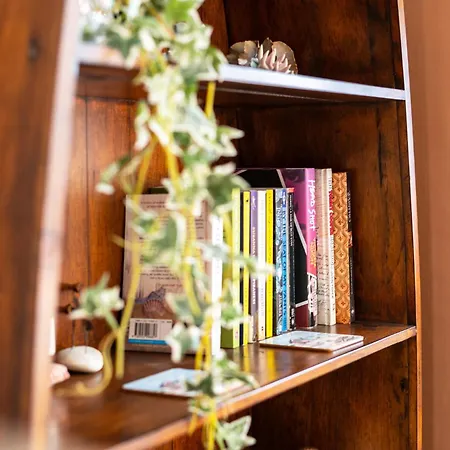 펜션 Salt Wind House - *